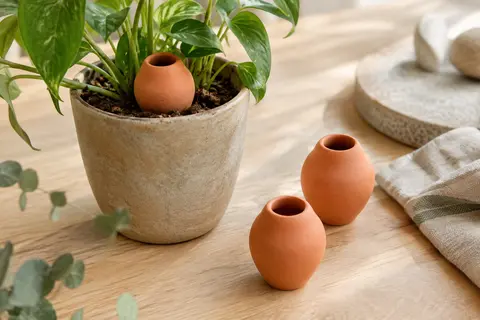 Trois mini oyas en céramique terracotta, dont une plantée dans le terreau d’un pot de plante.